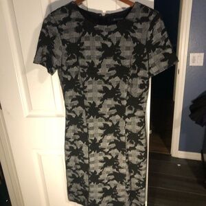 NWOT Brooks Brothers Dress Size Eight